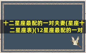 十二星座最配的一对夫妻(星座十二星座表)(12星座最配的一对)