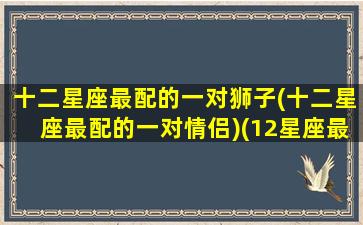 十二星座最配的一对狮子(十二星座最配的一对情侣)(12星座最配的一对)