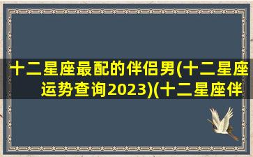 十二星座最配的伴侣男(十二星座运势查询2023)(十二星座伴侣排行)