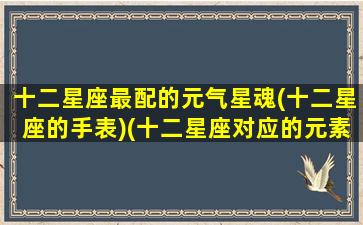 十二星座最配的元气星魂(十二星座的手表)(十二星座对应的元素力量)