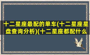 十二星座最配的单车(十二星座星盘查询分析)(十二星座都配什么车)