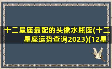 十二星座最配的头像水瓶座(十二星座运势查询2023)(12星座配对排名水瓶)