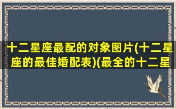 十二星座最配的对象图片(十二星座的最佳婚配表)(最全的十二星座配对最佳组合)