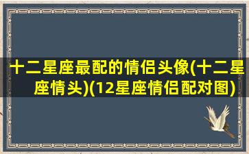 十二星座最配的情侣头像(十二星座情头)(12星座情侣配对图)