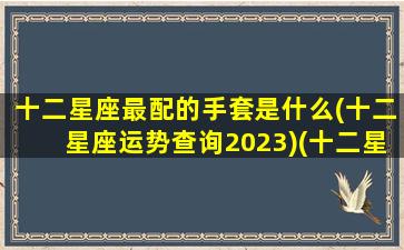 十二星座最配的手套是什么(十二星座运势查询2023)(十二星座最配的衣服)