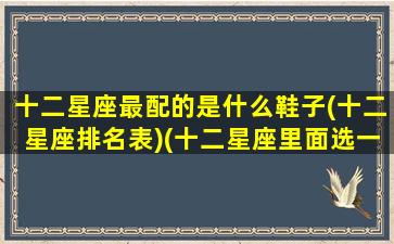 十二星座最配的是什么鞋子(十二星座排名表)(十二星座里面选一个鞋子最好看)