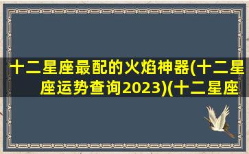 十二星座最配的火焰神器(十二星座运势查询2023)(十二星座中谁的火气)