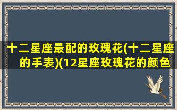 十二星座最配的玫瑰花(十二星座的手表)(12星座玫瑰花的颜色和花语)