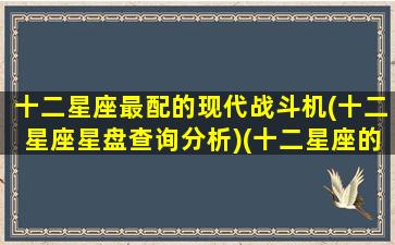 十二星座最配的现代战斗机(十二星座星盘查询分析)(十二星座的战斗机甲)