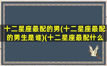 十二星座最配的男(十二星座最配的男生是谁)(十二星座最配什么男生)