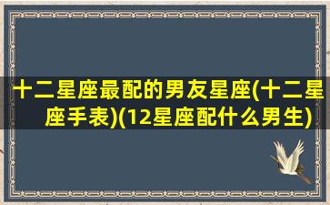 十二星座最配的男友星座(十二星座手表)(12星座配什么男生)