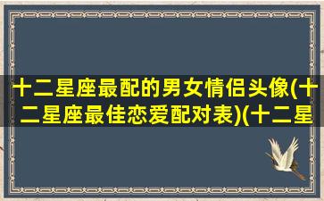 十二星座最配的男女情侣头像(十二星座最佳恋爱配对表)(十二星座的配对情侣头像图片)