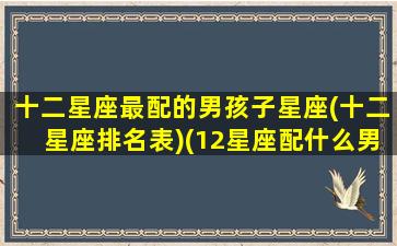 十二星座最配的男孩子星座(十二星座排名表)(12星座配什么男朋友)