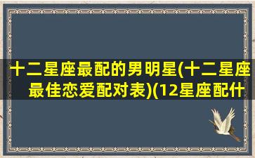 十二星座最配的男明星(十二星座最佳恋爱配对表)(12星座配什么明星男友合适)