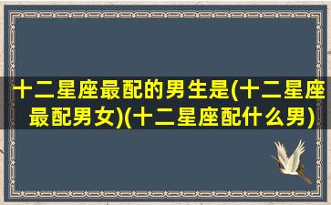 十二星座最配的男生是(十二星座最配男女)(十二星座配什么男)