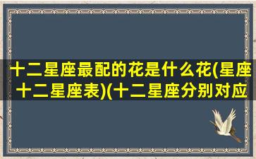 十二星座最配的花是什么花(星座十二星座表)(十二星座分别对应什么花)