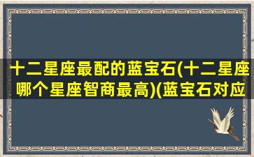 十二星座最配的蓝宝石(十二星座哪个星座智商最高)(蓝宝石对应星座)