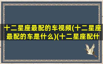 十二星座最配的车视频(十二星座最配的车是什么)(十二星座配什么车最好)
