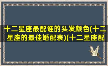 十二星座最配谁的头发颜色(十二星座的最佳婚配表)(十二星座配对的颜色)