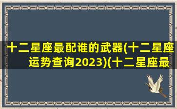 十二星座最配谁的武器(十二星座运势查询2023)(十二星座最配什么星座配对)