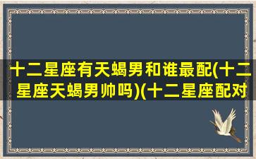 十二星座有天蝎男和谁最配(十二星座天蝎男帅吗)(十二星座配对天蝎男)