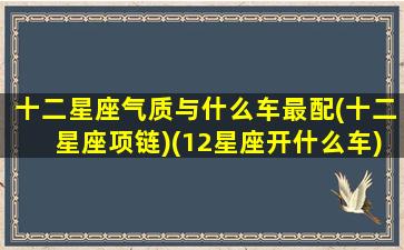 十二星座气质与什么车最配(十二星座项链)(12星座开什么车)