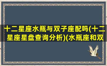 十二星座水瓶与双子座配吗(十二星座星盘查询分析)(水瓶座和双子座是绝配吗)