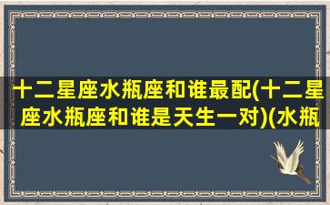 十二星座水瓶座和谁最配(十二星座水瓶座和谁是天生一对)(水瓶座和十二星座配对百分比)