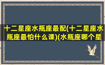十二星座水瓶座最配(十二星座水瓶座最怕什么课)(水瓶座哪个星座最配)