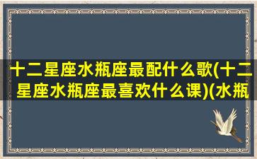 十二星座水瓶座最配什么歌(十二星座水瓶座最喜欢什么课)(水瓶座最爱的歌)