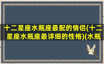 十二星座水瓶座最配的情侣(十二星座水瓶座最详细的性格)(水瓶座的最佳情侣星座)