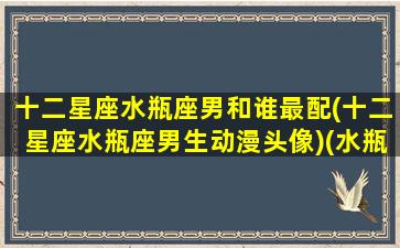 十二星座水瓶座男和谁最配(十二星座水瓶座男生动漫头像)(水瓶男生和什么星座最配对)