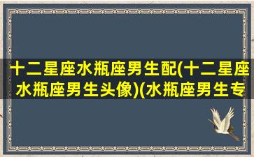 十二星座水瓶座男生配(十二星座水瓶座男生头像)(水瓶座男生专属头像动漫)