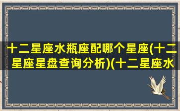 十二星座水瓶座配哪个星座(十二星座星盘查询分析)(十二星座水瓶座和什么星座最配)