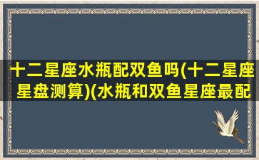 十二星座水瓶配双鱼吗(十二星座星盘测算)(水瓶和双鱼星座最配对)