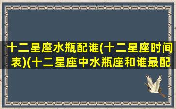十二星座水瓶配谁(十二星座时间表)(十二星座中水瓶座和谁最配)