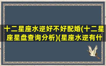 十二星座水逆好不好配婚(十二星座星盘查询分析)(星座水逆有什么影响)