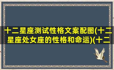 十二星座测试性格文案配图(十二星座处女座的性格和命运)(十二星座的测试题有哪些)