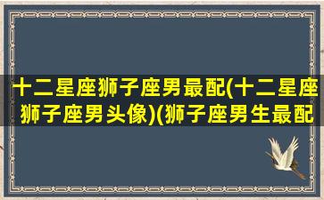 十二星座狮子座男最配(十二星座狮子座男头像)(狮子座男生最配的星座)