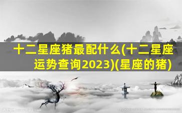 十二星座猪最配什么(十二星座运势查询2023)(星座的猪)