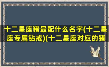 十二星座猪最配什么名字(十二星座专属钻戒)(十二星座对应的猪猪侠人物)