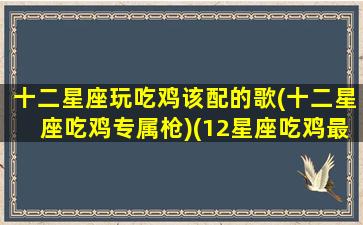 十二星座玩吃鸡该配的歌(十二星座吃鸡专属枪)(12星座吃鸡最适合用什么枪)