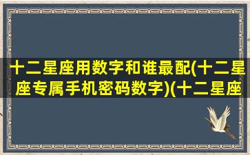 十二星座用数字和谁最配(十二星座专属手机密码数字)(十二星座配对表字母)