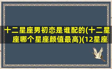 十二星座男初恋是谁配的(十二星座哪个星座颜值最高)(12星座初恋年龄在几岁)