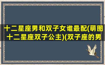 十二星座男和双子女谁最配(萌图十二星座双子公主)(双子座的男人与十二星座的女人)