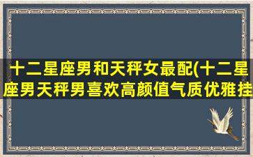 十二星座男和天秤女最配(十二星座男天秤男喜欢高颜值气质优雅挂)(天秤男和哪个星座女生最配)