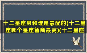 十二星座男和谁是最配的(十二星座哪个星座智商最高)(十二星座男配对)