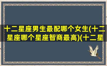 十二星座男生最配哪个女生(十二星座哪个星座智商最高)(十二星座男和女谁最配)