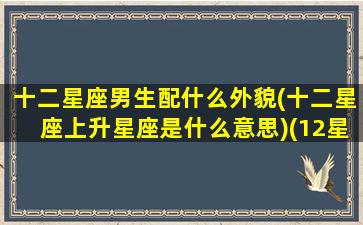 十二星座男生配什么外貌(十二星座上升星座是什么意思)(12星座配什么男生)