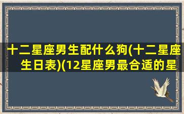 十二星座男生配什么狗(十二星座生日表)(12星座男最合适的星座女)